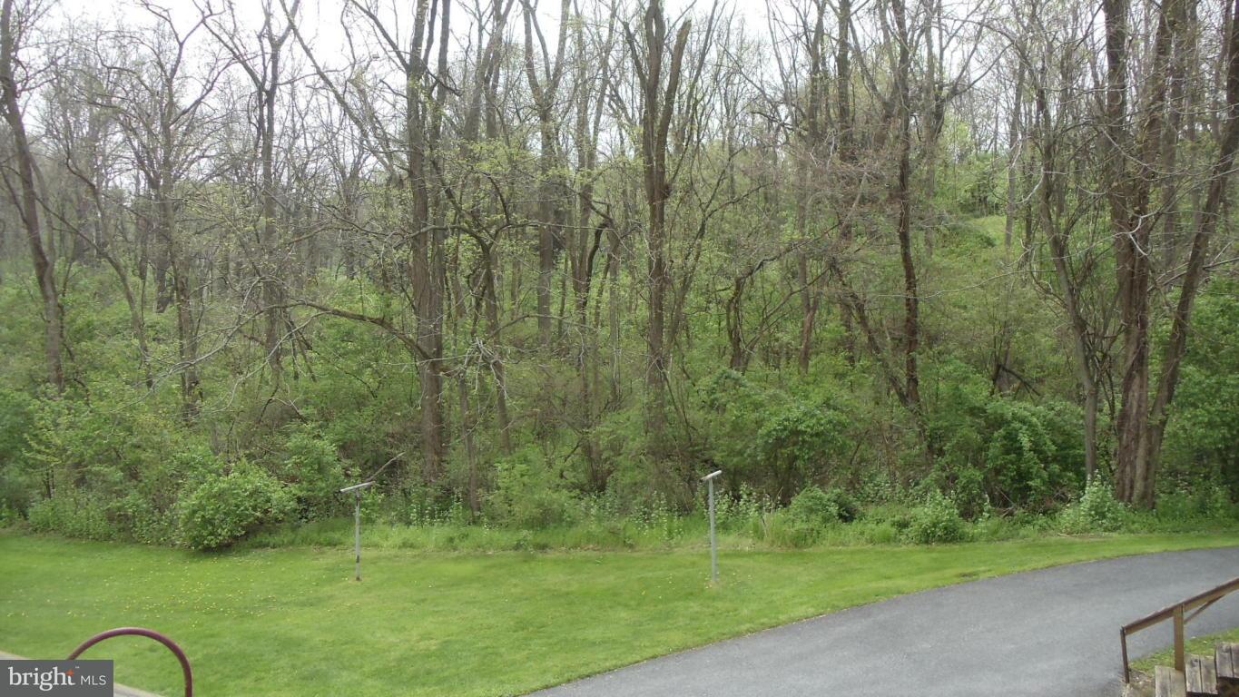 1330 Dridge Hill Road Lititz, PA 17543 - Photo 29 of 63