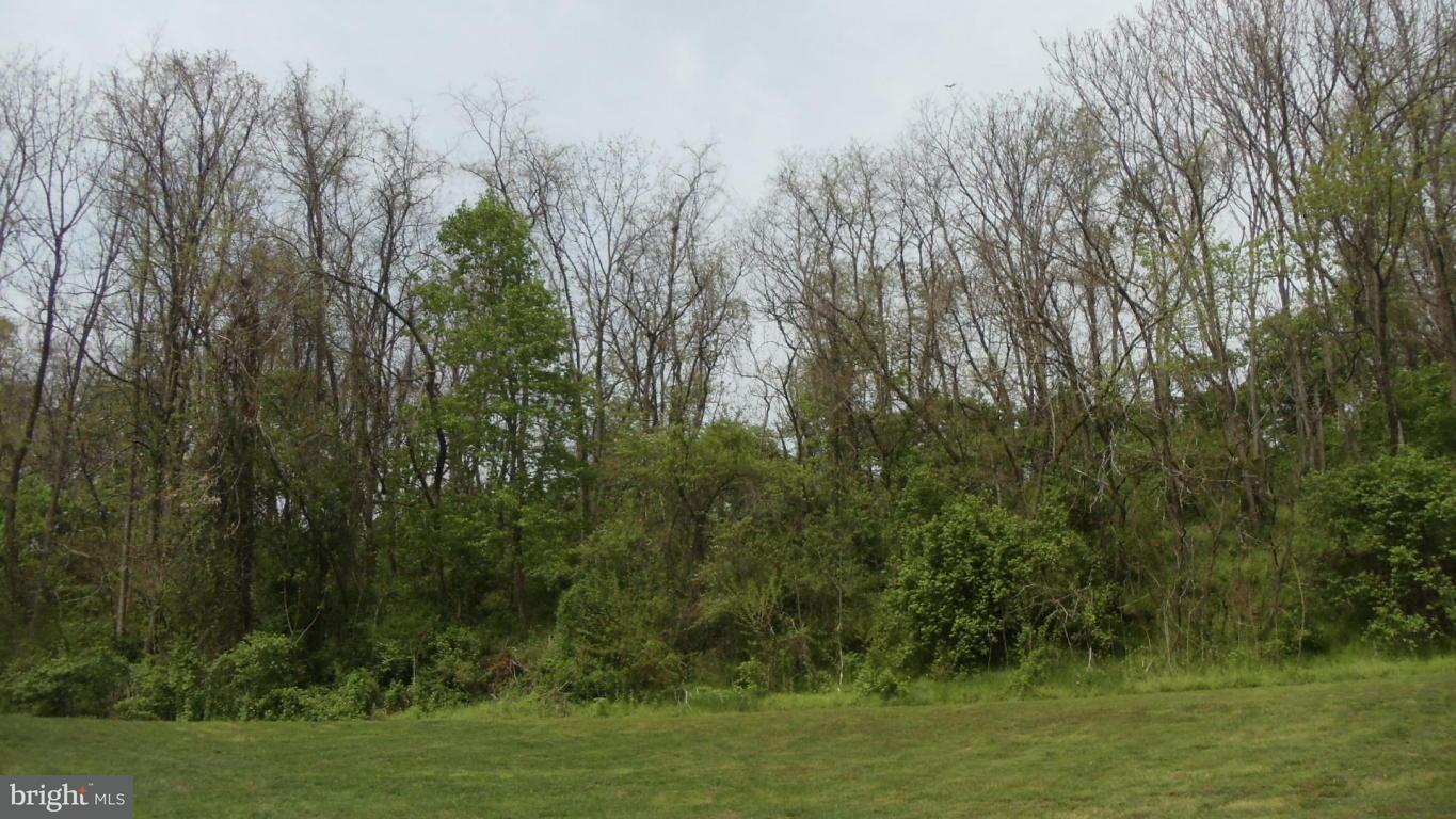1330 Dridge Hill Road Lititz, PA 17543 - Photo 61 of 63