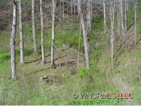 30 Snowbird Road Marshall, NC 28753 - Photo 3 of 9 Gallery Image 3
