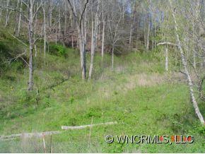 30 Snowbird Road Marshall, NC 28753 - Photo 4 of 9 Gallery Image 4