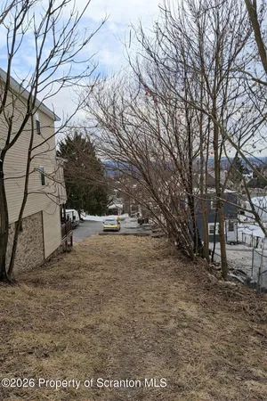 a view of empty space with large trees