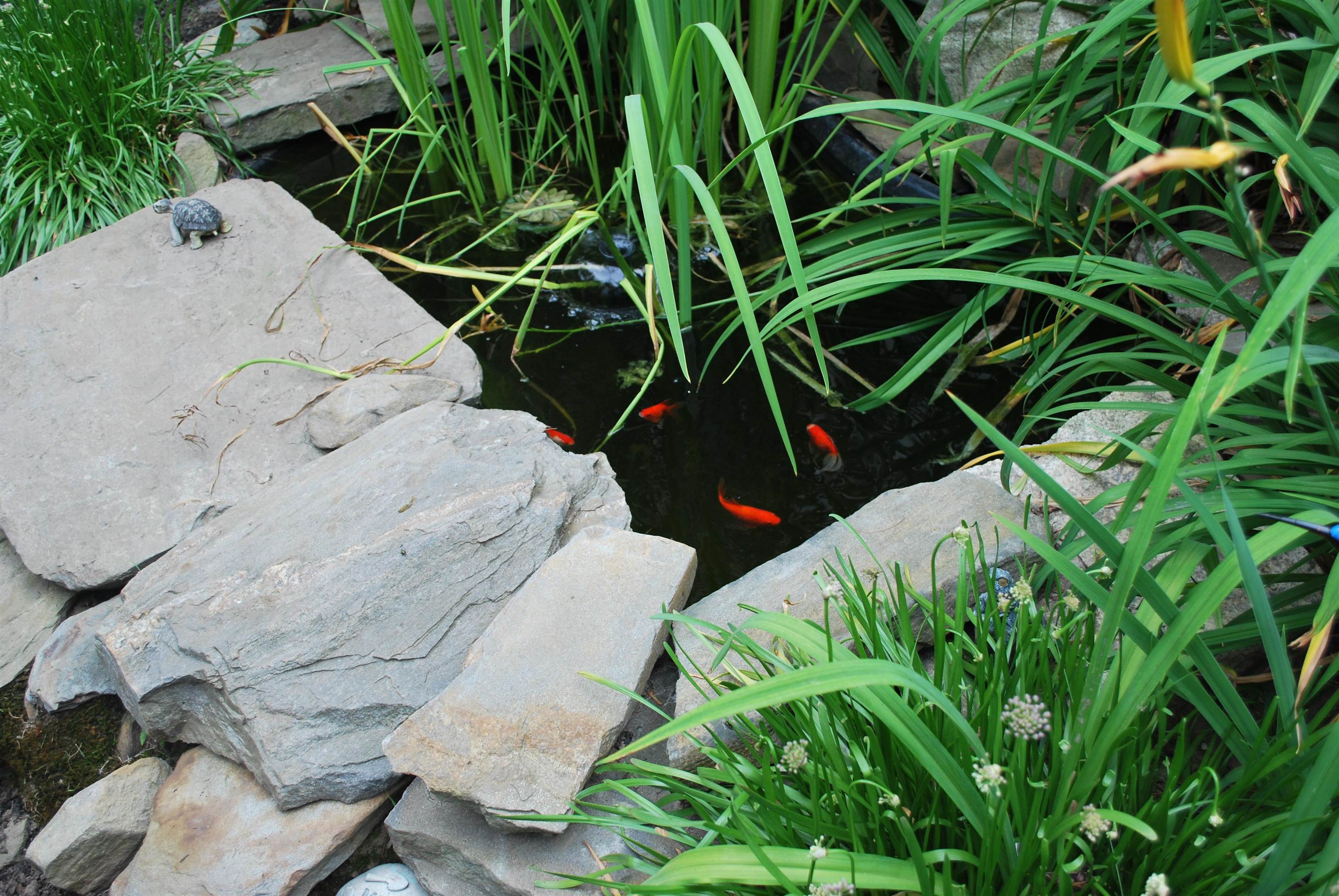 19 Glen Road Salem, NH 03079 - Photo 8 of 23