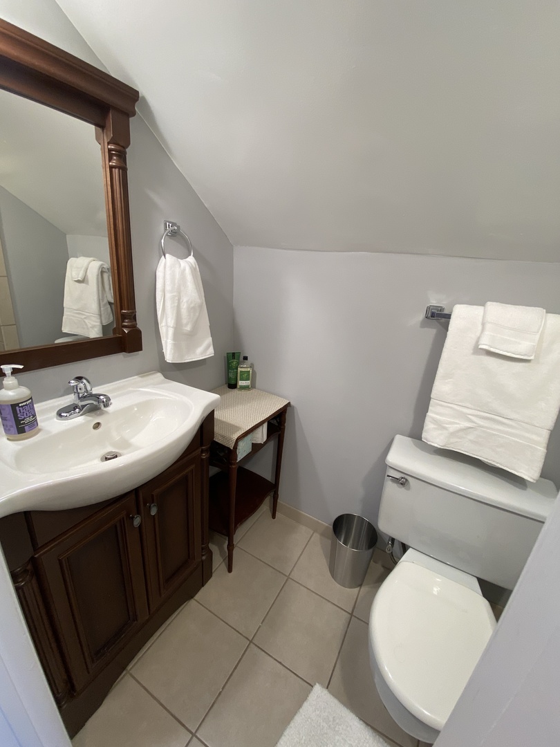 3810 Wolf Road Western Springs, IL 60558 - Photo 20 of 35 a bathroom with a sink toilet and mirror