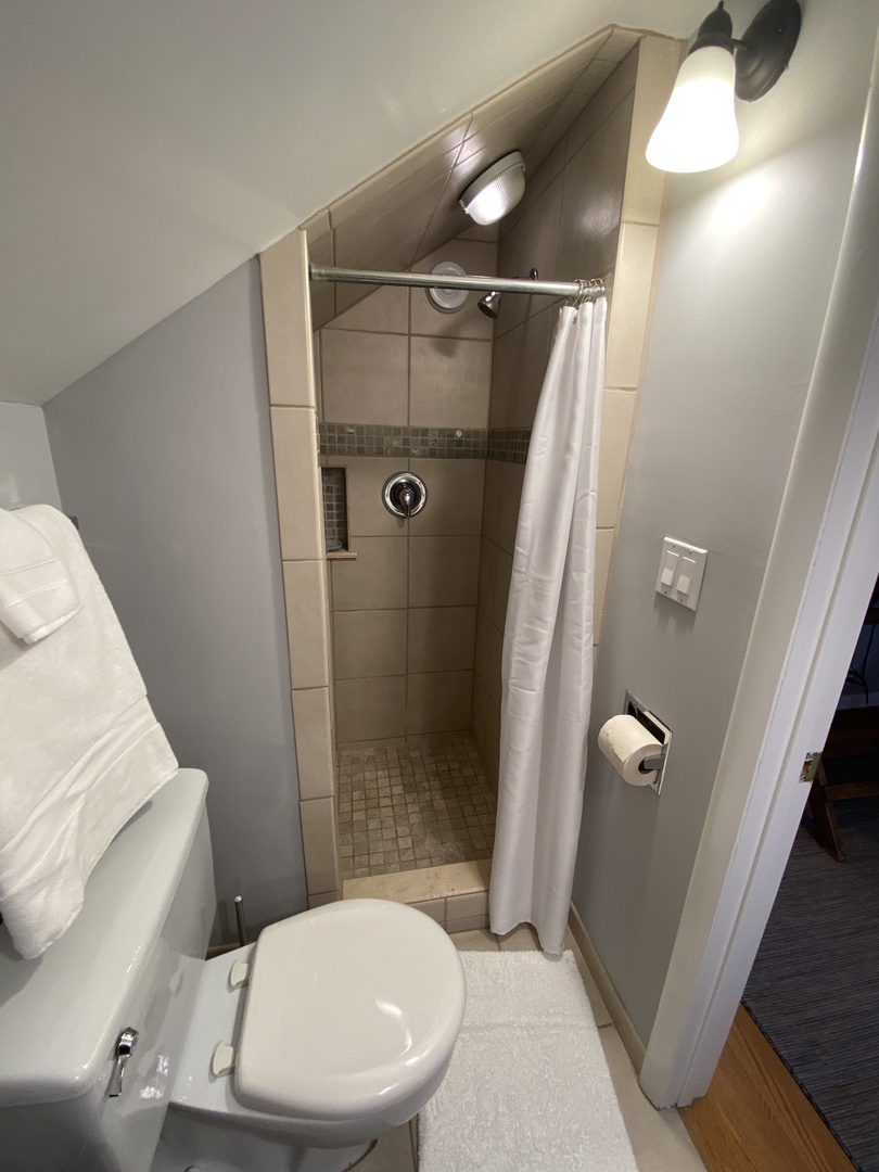 3810 Wolf Road Western Springs, IL 60558 - Photo 22 of 35 a bathroom with a toilet and a shower
