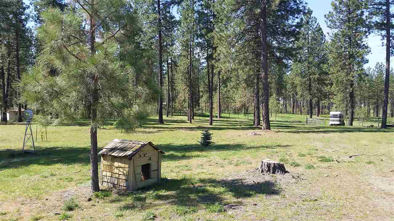 3916 South Ritchey Road Medical Lake, WA 99022 - Photo 12 of 19