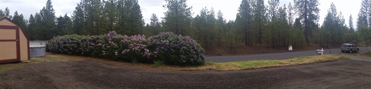3916 South Ritchey Road Medical Lake, WA 99022 - Photo 19 of 19