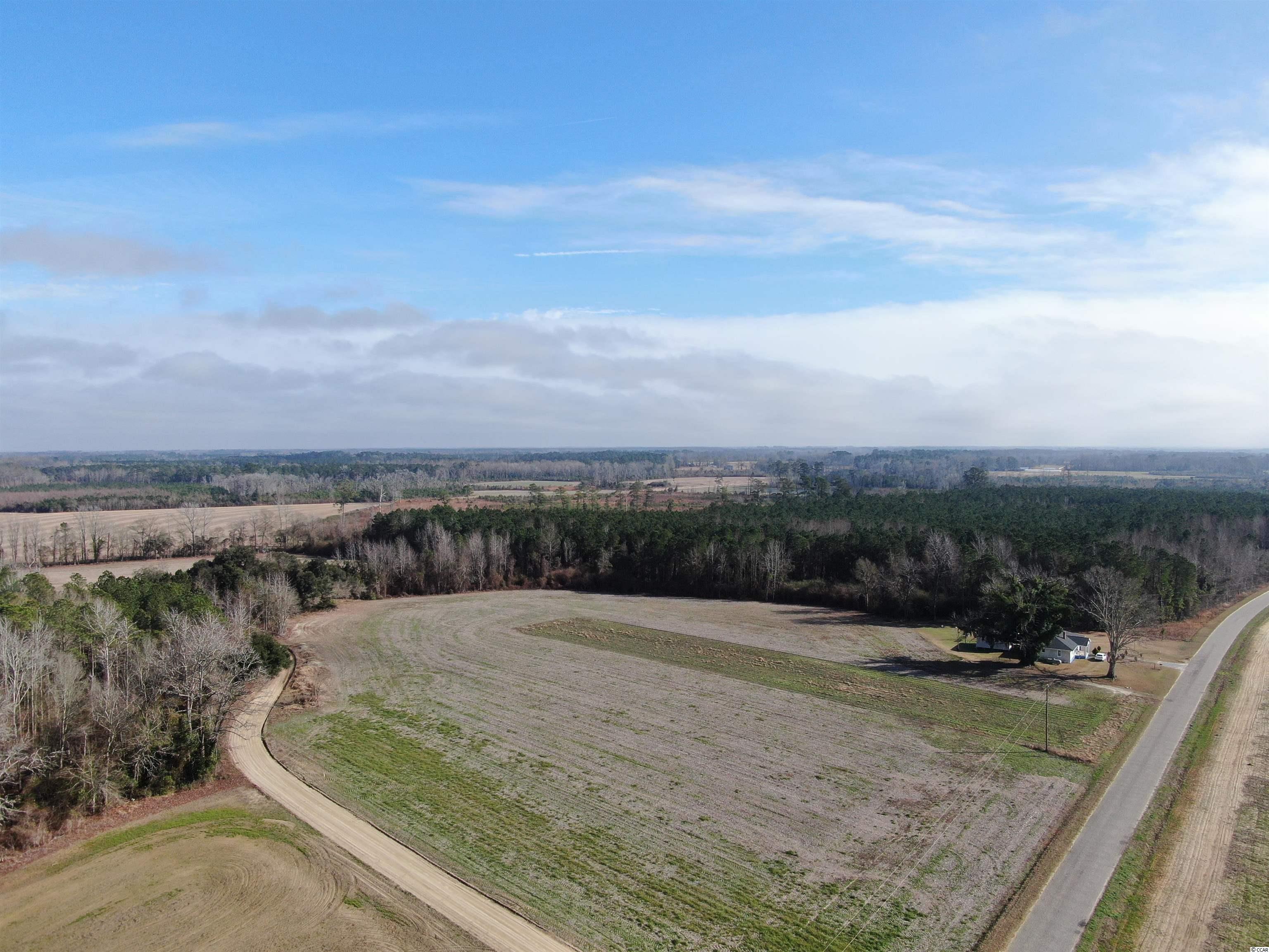 Tbd Oliver Road Hamer, SC 29547 - Photo 1 of 16 Gallery Image 1
