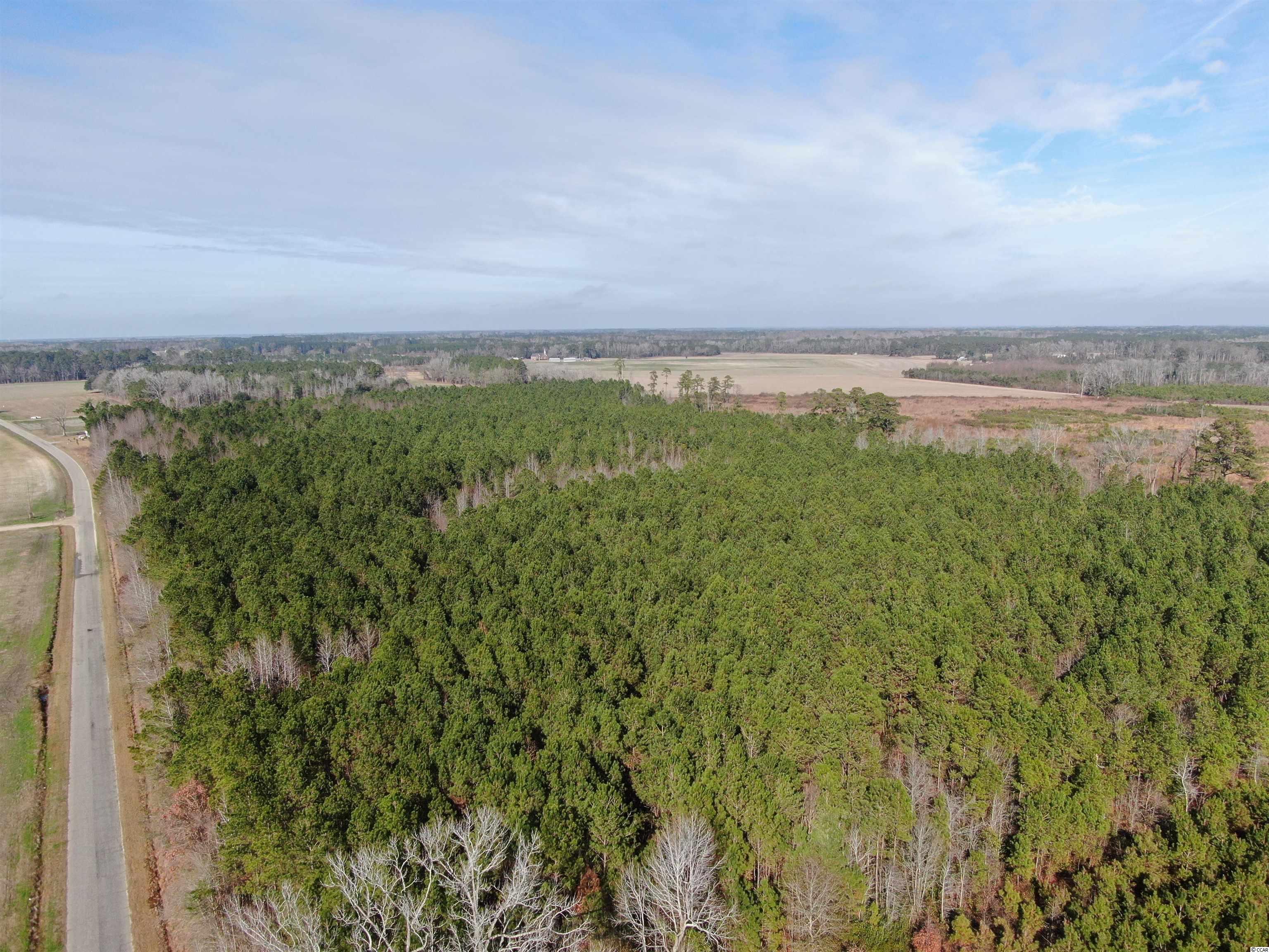 Tbd Oliver Road Hamer, SC 29547 - Photo 5 of 16 Gallery Image 5