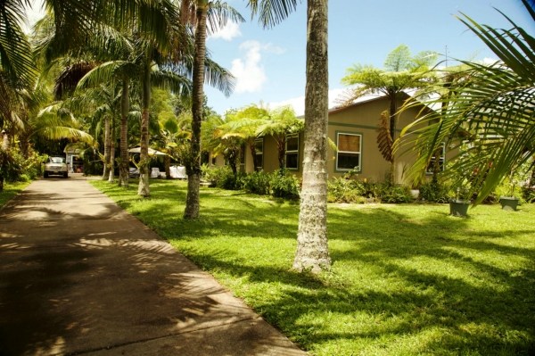 6701 Puupilo Road, Unit A Kapaa, HI 96746 - Photo 3 of 7 a view of a yard in front of the building