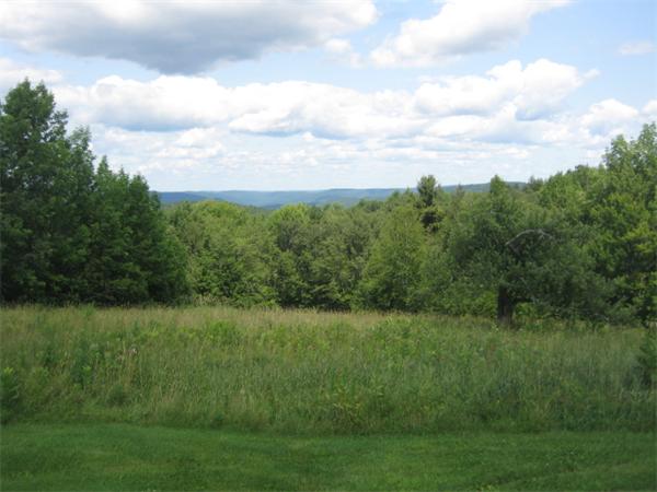 1452 Hawley Road Ashfield, MA 01330 - Photo 10 of 24 a view of a grassy field with trees