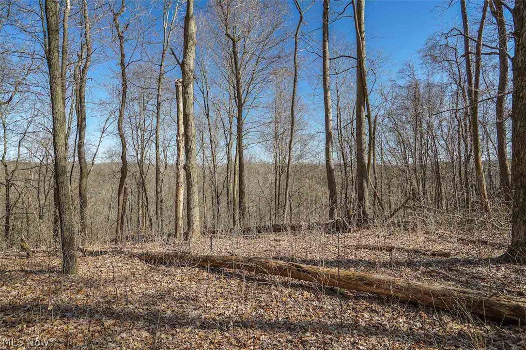 6435 Buttermilk Road Blue Rock, OH 43720 - Photo 22 of 33 Gallery Image 22
