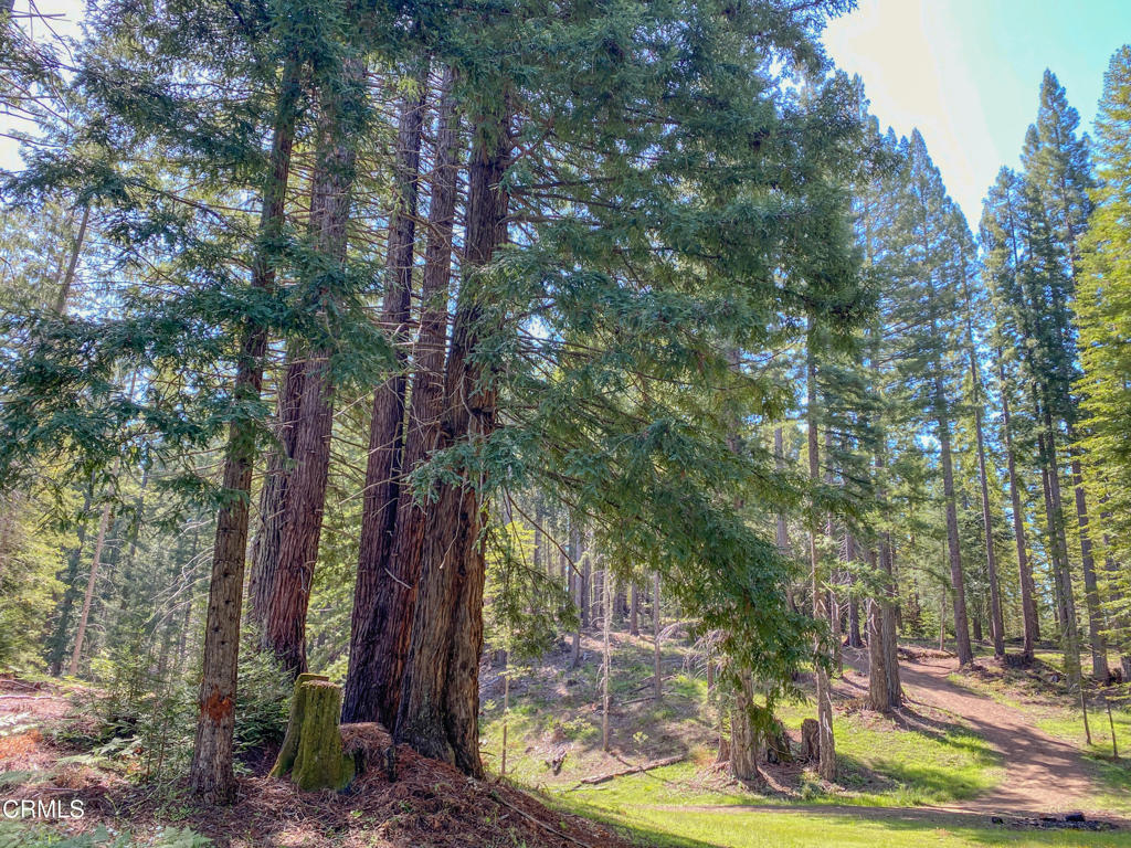 13740 Peregrine Road Boonville, CA 95415 - Photo 41 of 49 IMG_2700