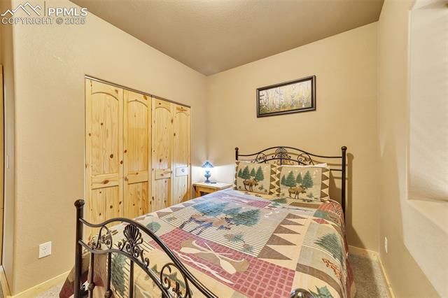 1055 Timber Ridge Road Divide, CO 80814 - Photo 27 of 47 Carpeted bedroom with baseboards