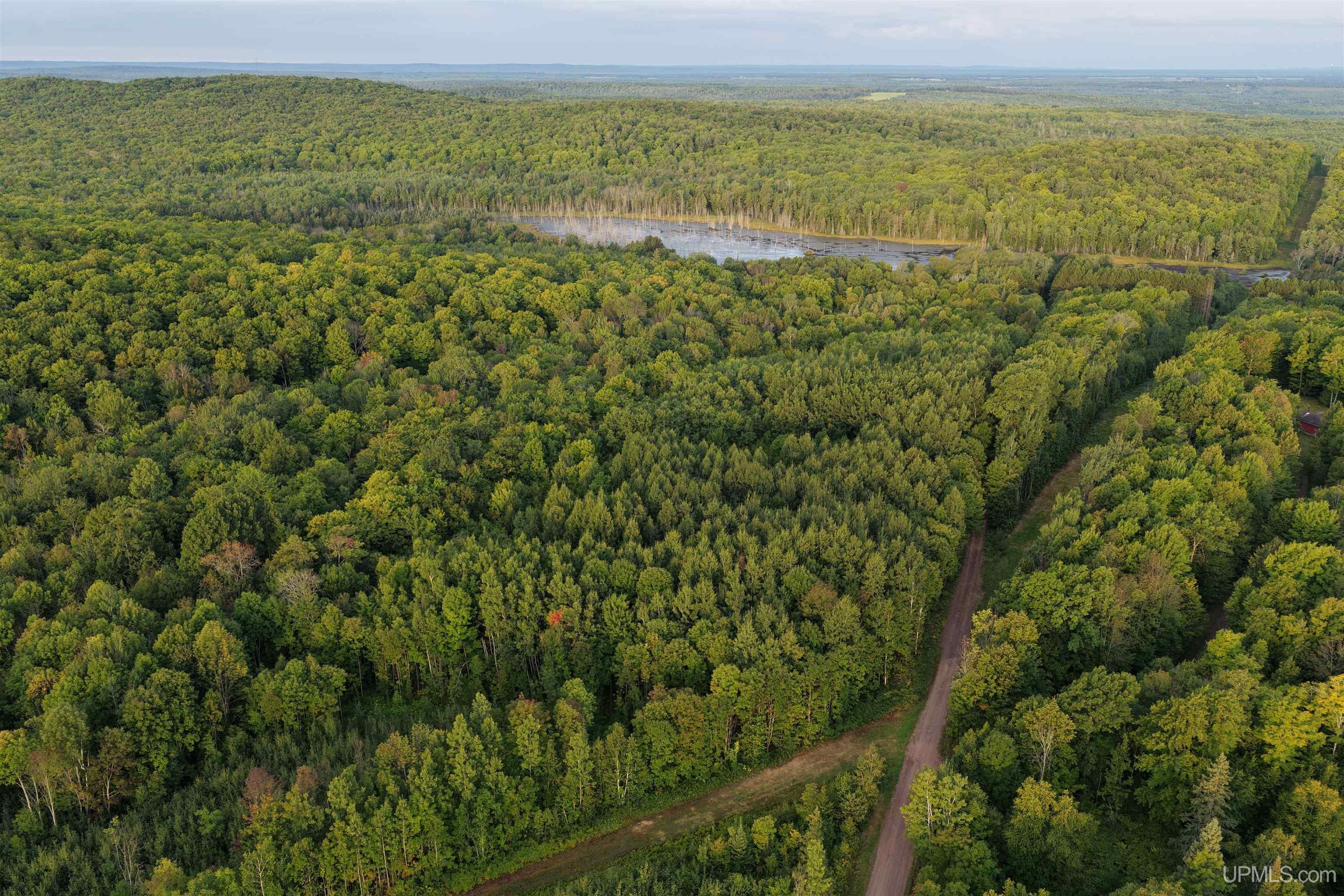 Tbd Strangle Road Bruce Crossing, MI 49912 - Photo 4 of 8 Gallery Image 4