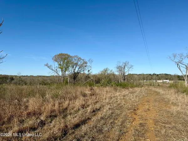 $210,000 | 385 Vanarsdale Road, Pickens, MS 39146