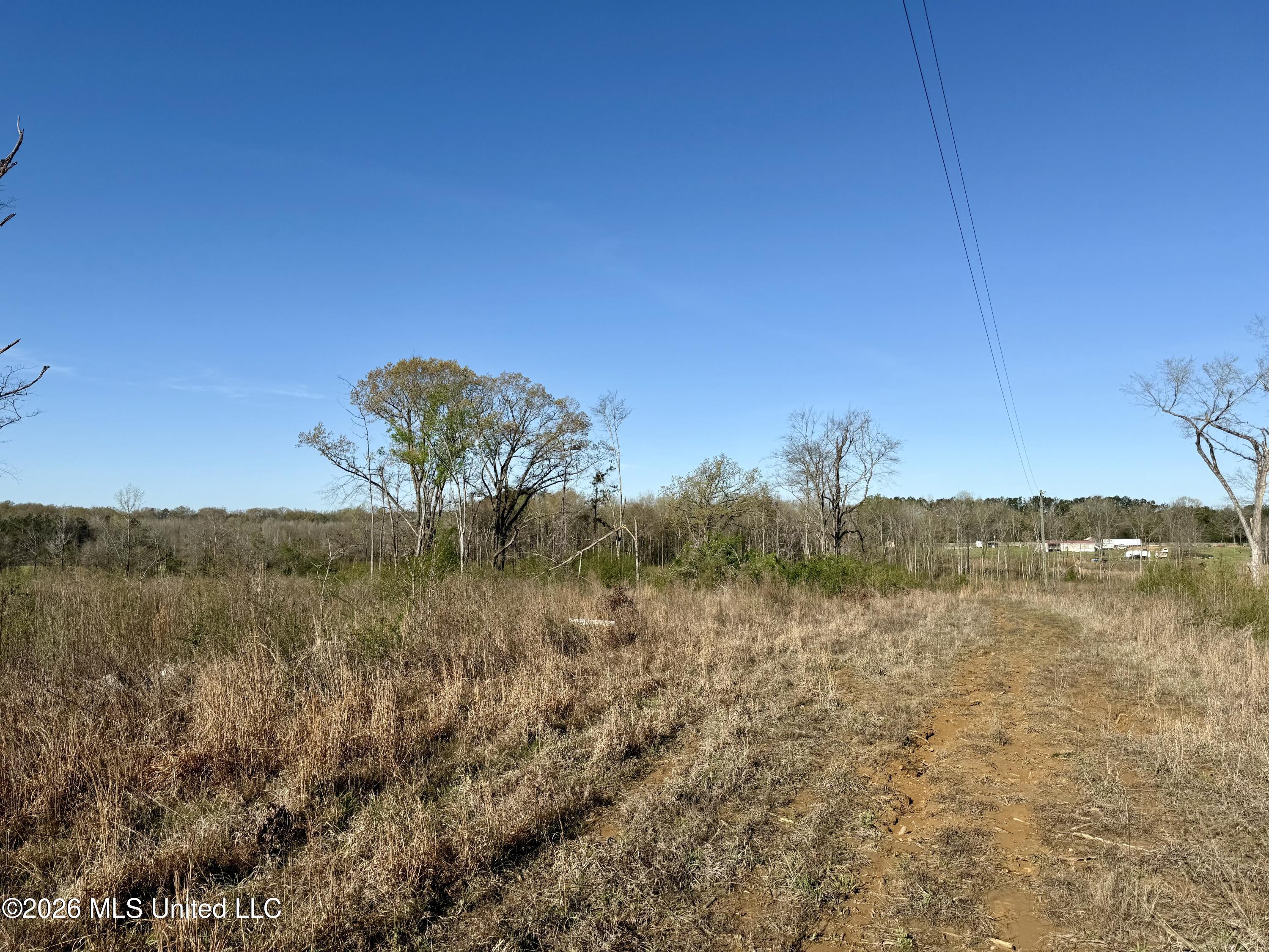 385 Vanarsdale Road Pickens, MS 39146 - Photo 1 of 11 Main