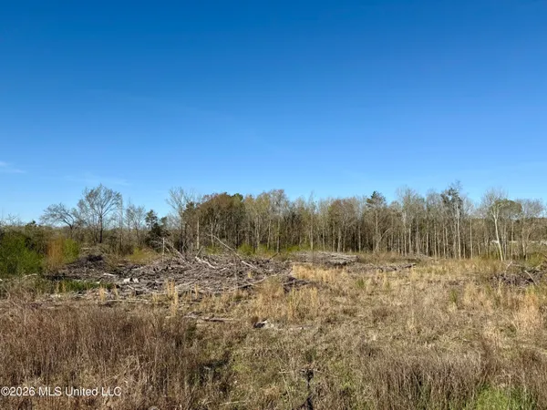 $210,000 | 385 Vanarsdale Road, Pickens, MS 39146