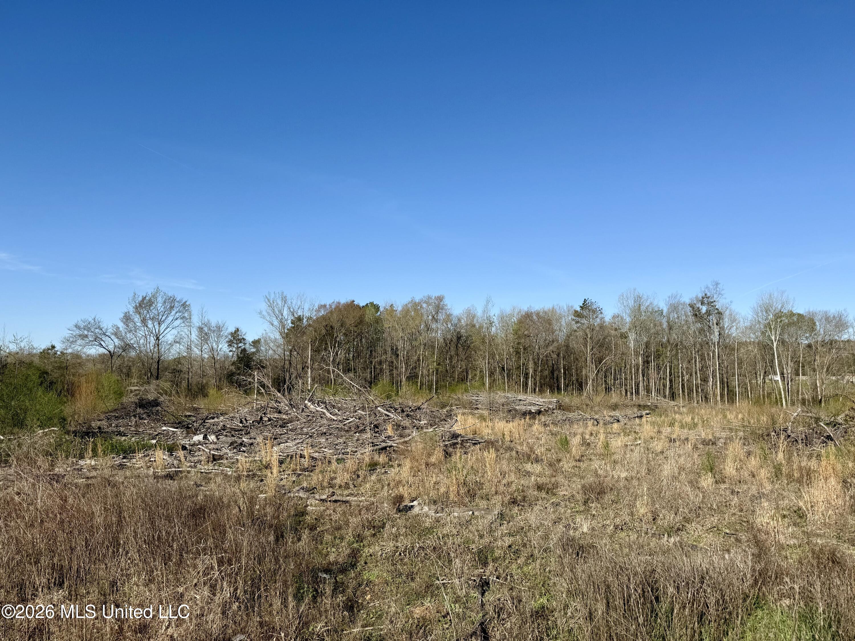 385 Vanarsdale Road Pickens, MS 39146 - Photo 2 of 11 Photo Mar 13 2026, 9 28 06 AM