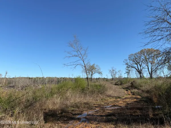 $210,000 | 385 Vanarsdale Road, Pickens, MS 39146