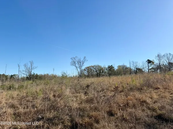 $210,000 | 385 Vanarsdale Road, Pickens, MS 39146