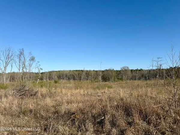$210,000 | 385 Vanarsdale Road, Pickens, MS 39146
