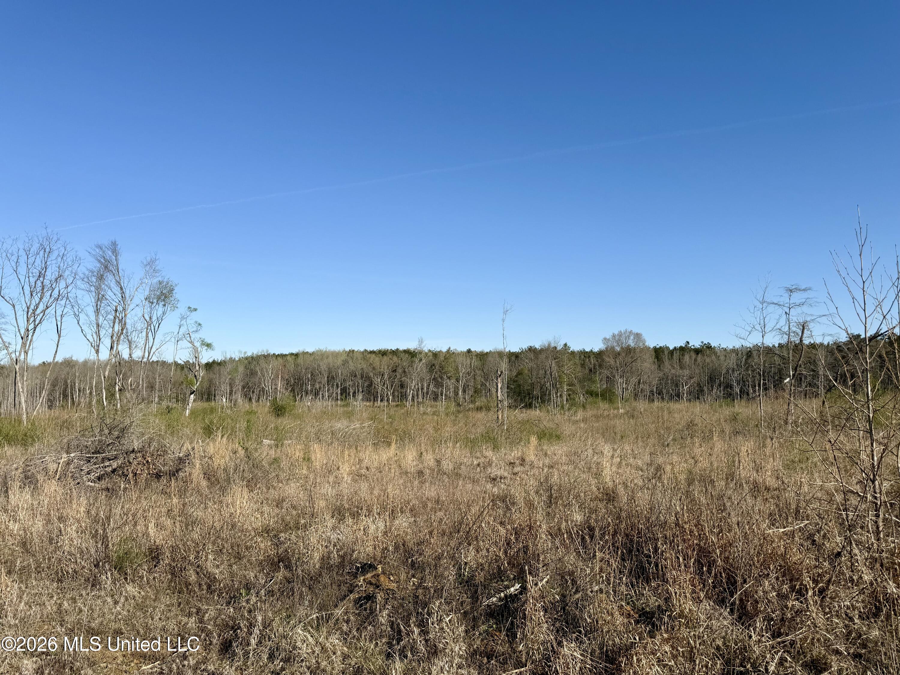 385 Vanarsdale Road Pickens, MS 39146 - Photo 5 of 11 Photo Mar 13 2026, 9 31 42 AM