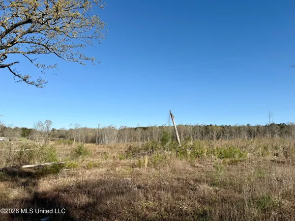 $210,000 | 385 Vanarsdale Road, Pickens, MS 39146