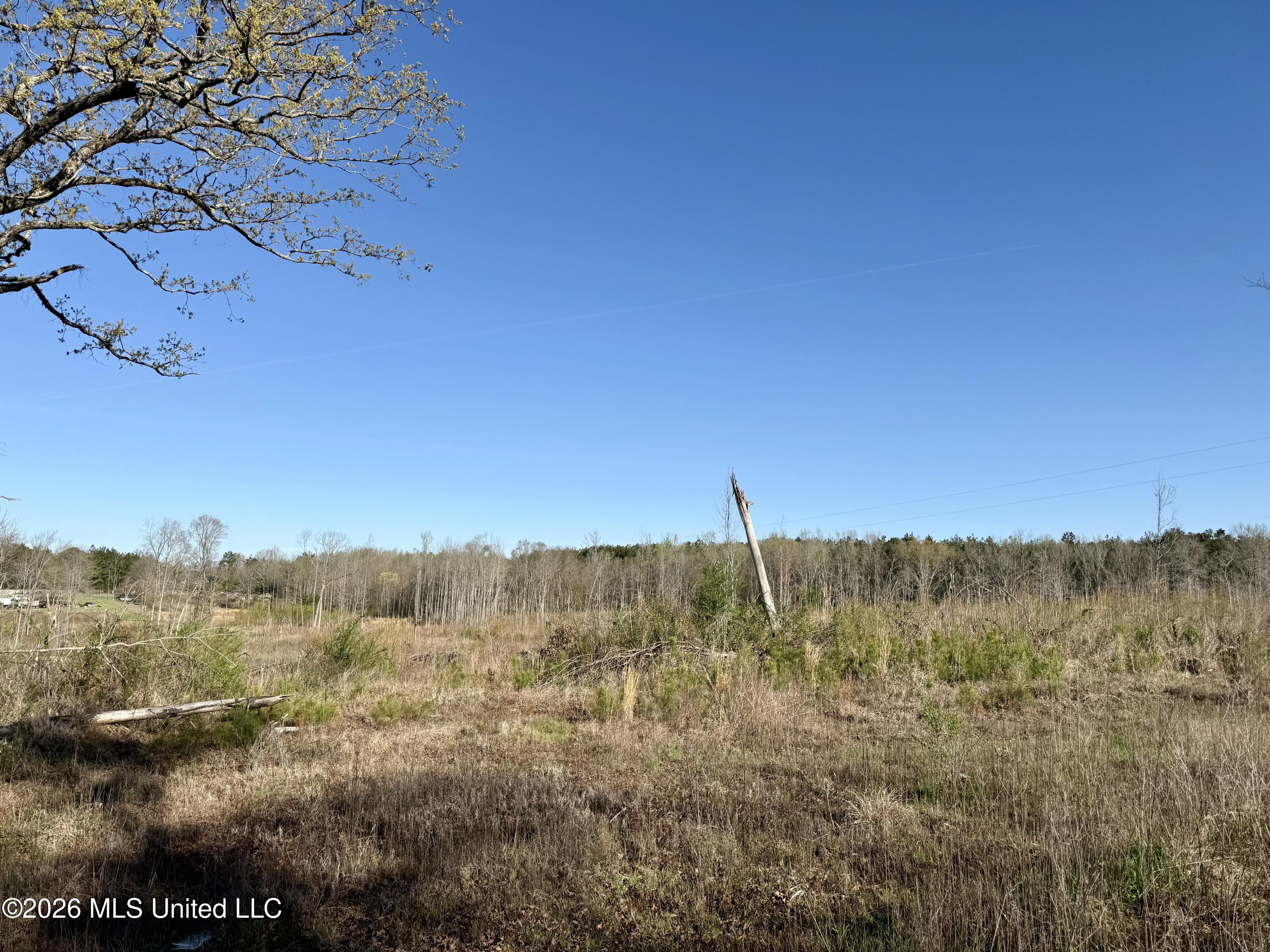 385 Vanarsdale Road Pickens, MS 39146 - Photo 6 of 11 Photo Mar 13 2026, 9 28 50 AM