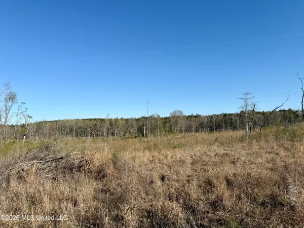 $210,000 | 385 Vanarsdale Road, Pickens, MS 39146