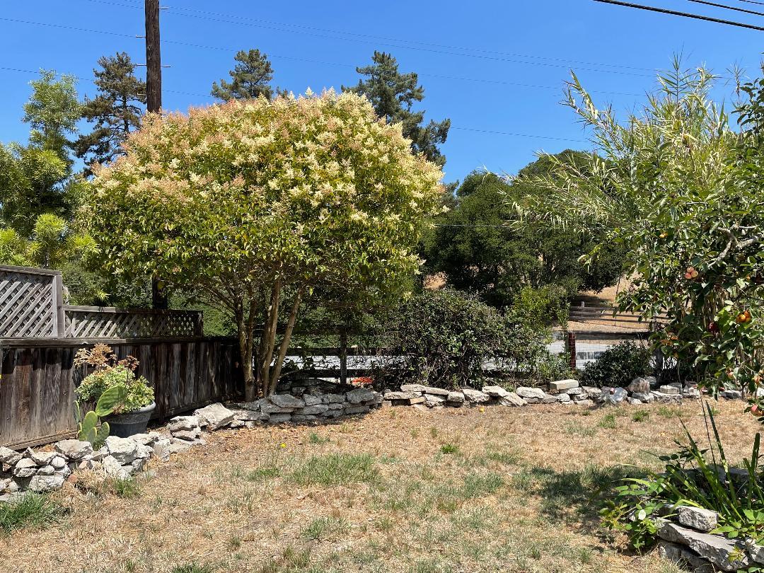 2957 Freedom Boulevard Watsonville, CA 95076 - Photo 11 of 11 a view of backyard with a table and chairs and a large tree