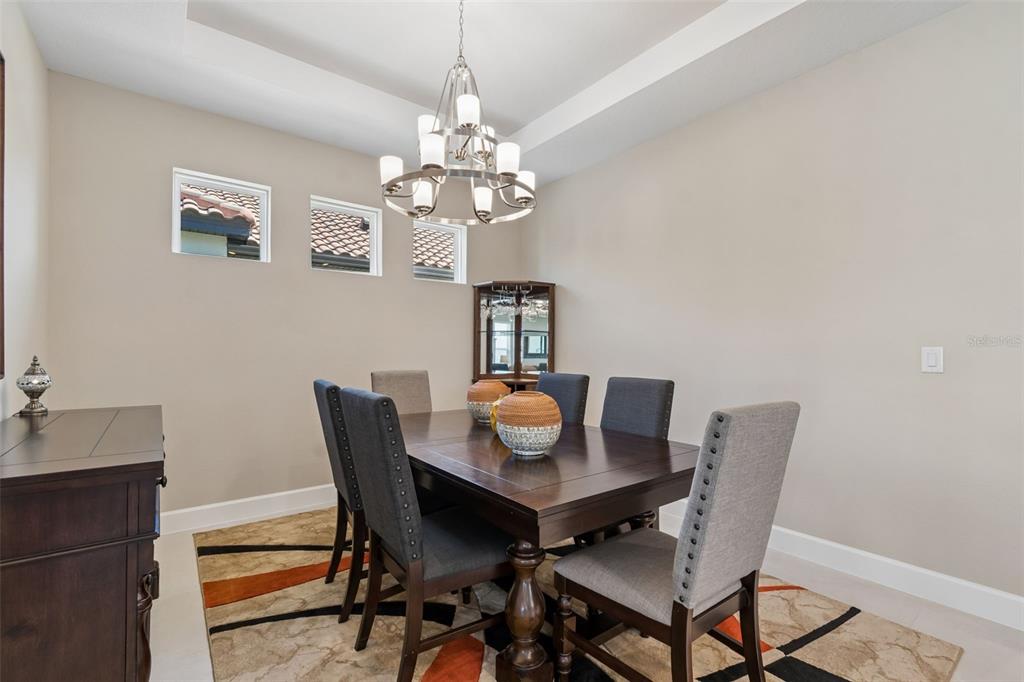 4647 Garofalo Road Wesley Chapel, FL 33543 - Photo 35 of 92
