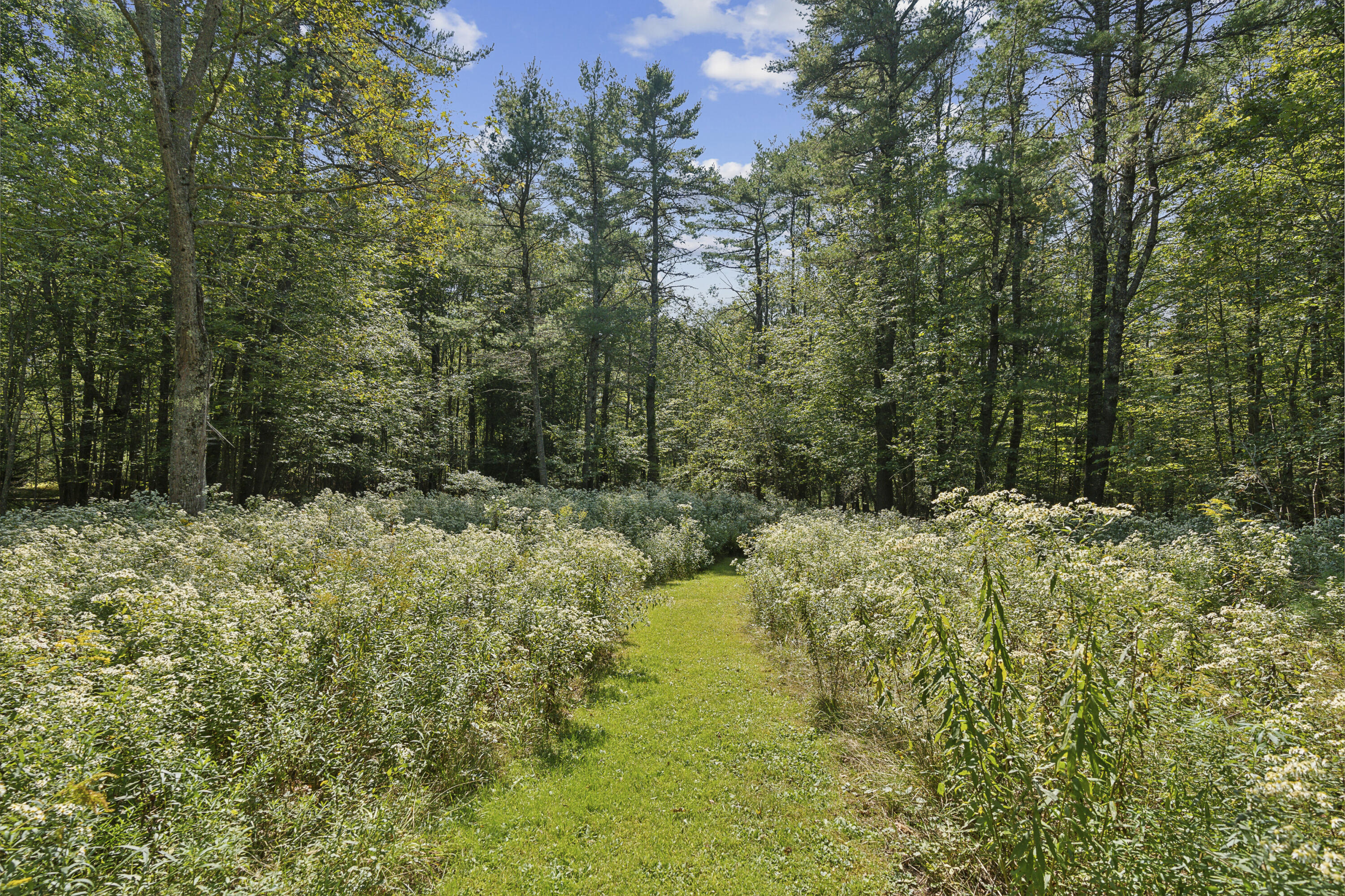 348 Bald Head Road Bath, ME 04530 - Photo 67 of 74 DSC08095