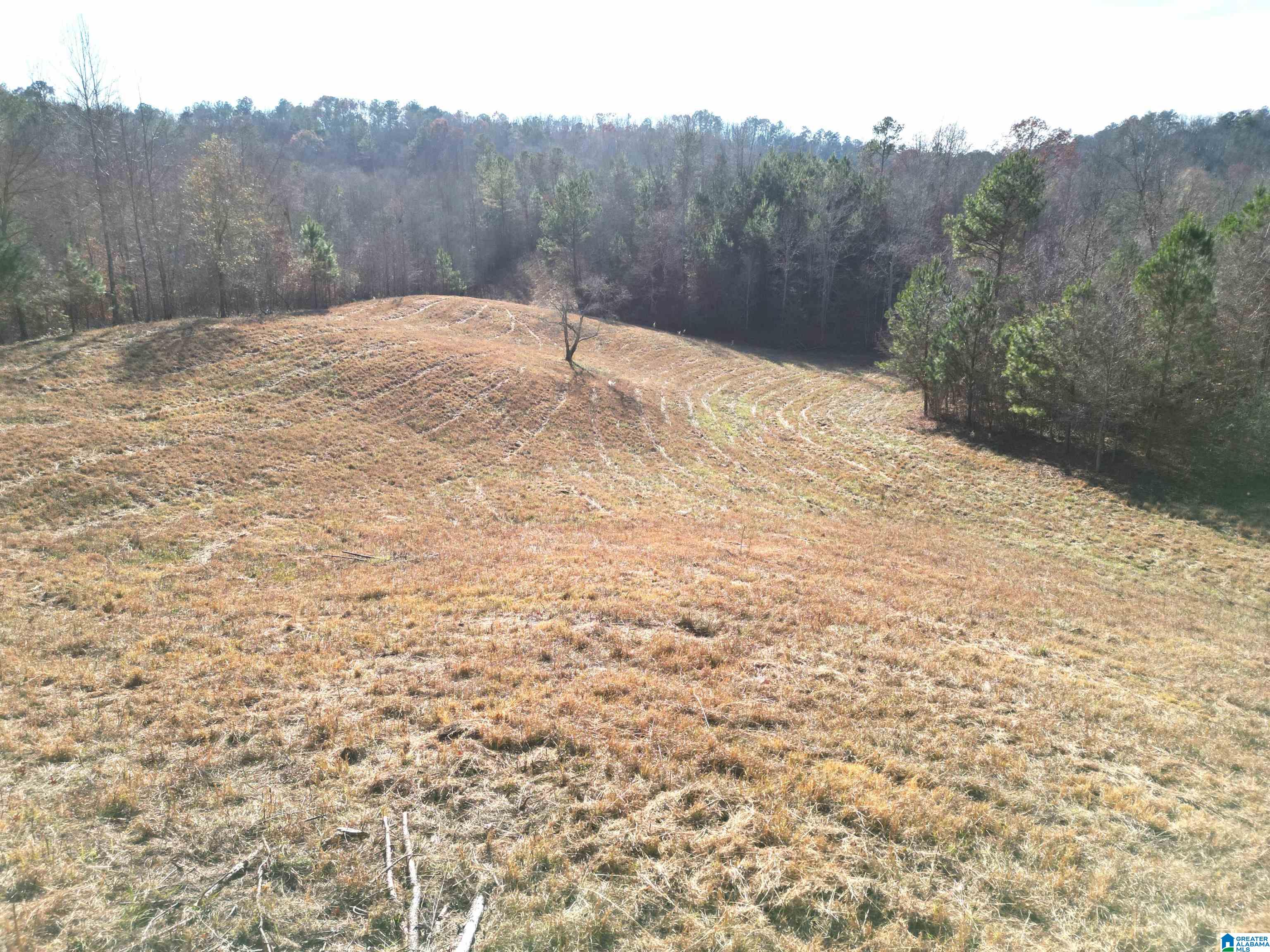 600 Earl Roberts Road, Unit 35 Anniston, AL 36207 - Photo 33 of 59 Gallery Image 33