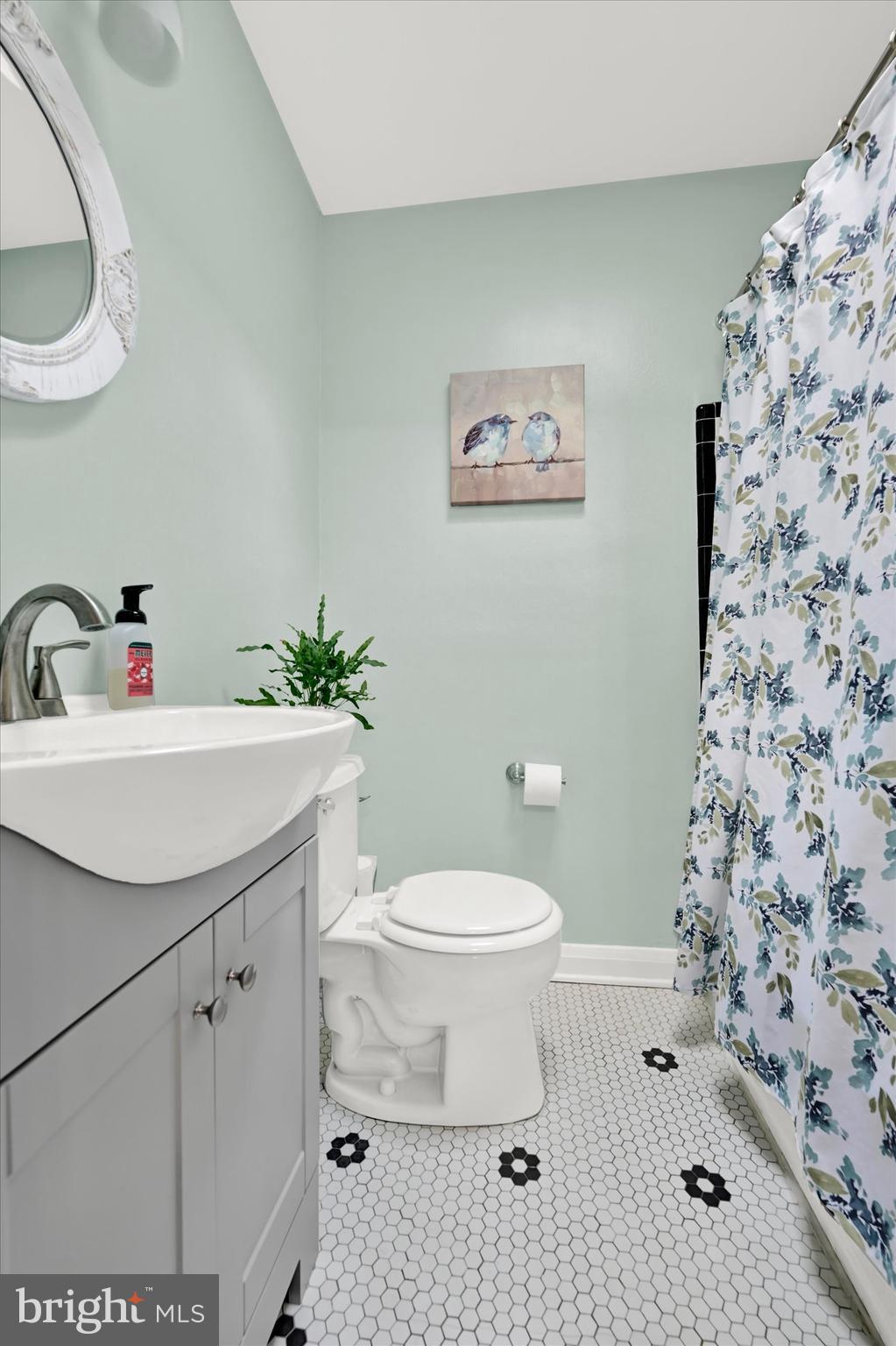 8356 Edgedale Road Parkville, MD 21234 - Photo 15 of 22 Full bath with skylight