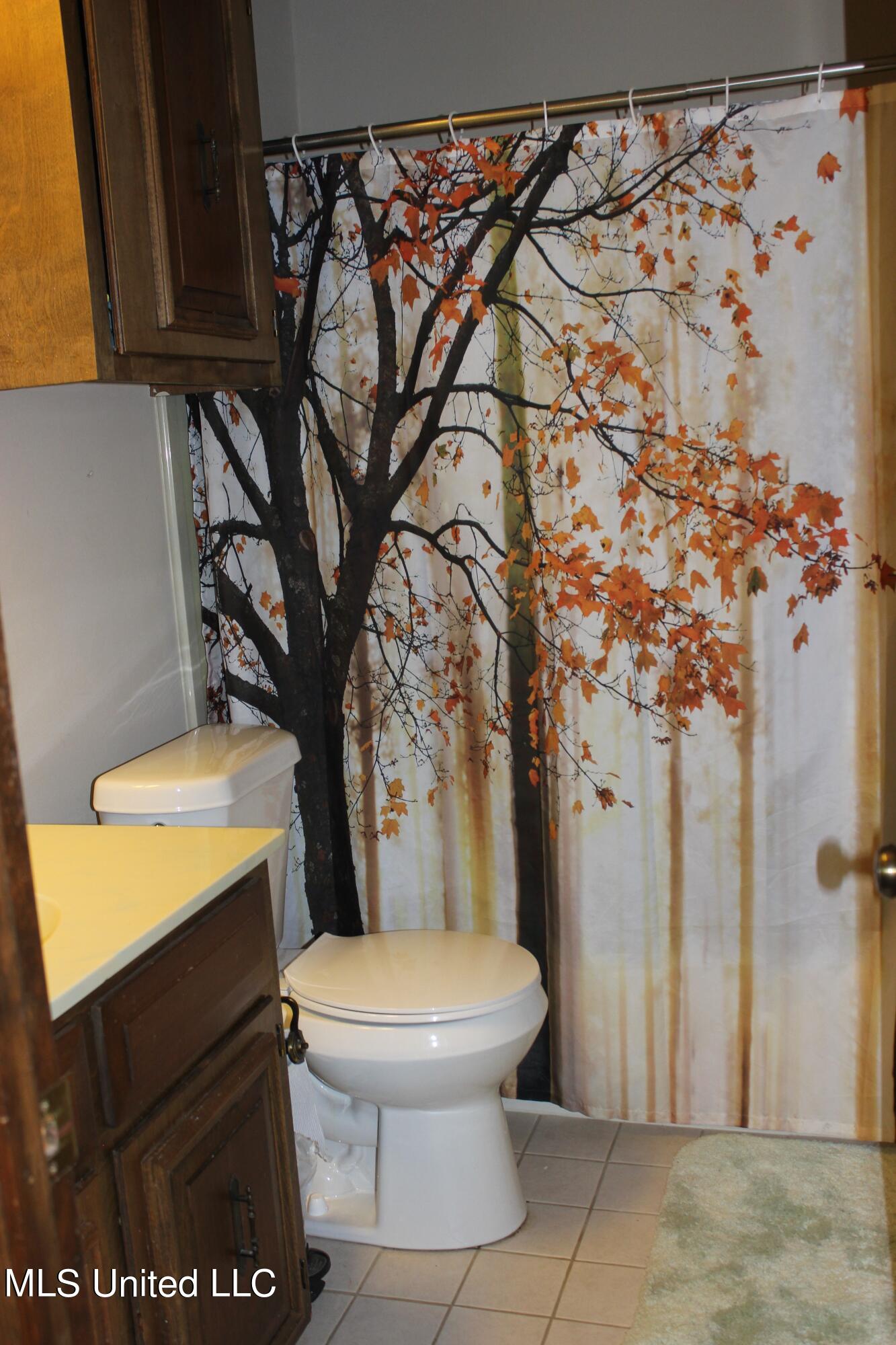1199 Ernie Martin Road Utica, MS 39175 - Photo 15 of 24 1199 Ernie Martin Bathroom 2