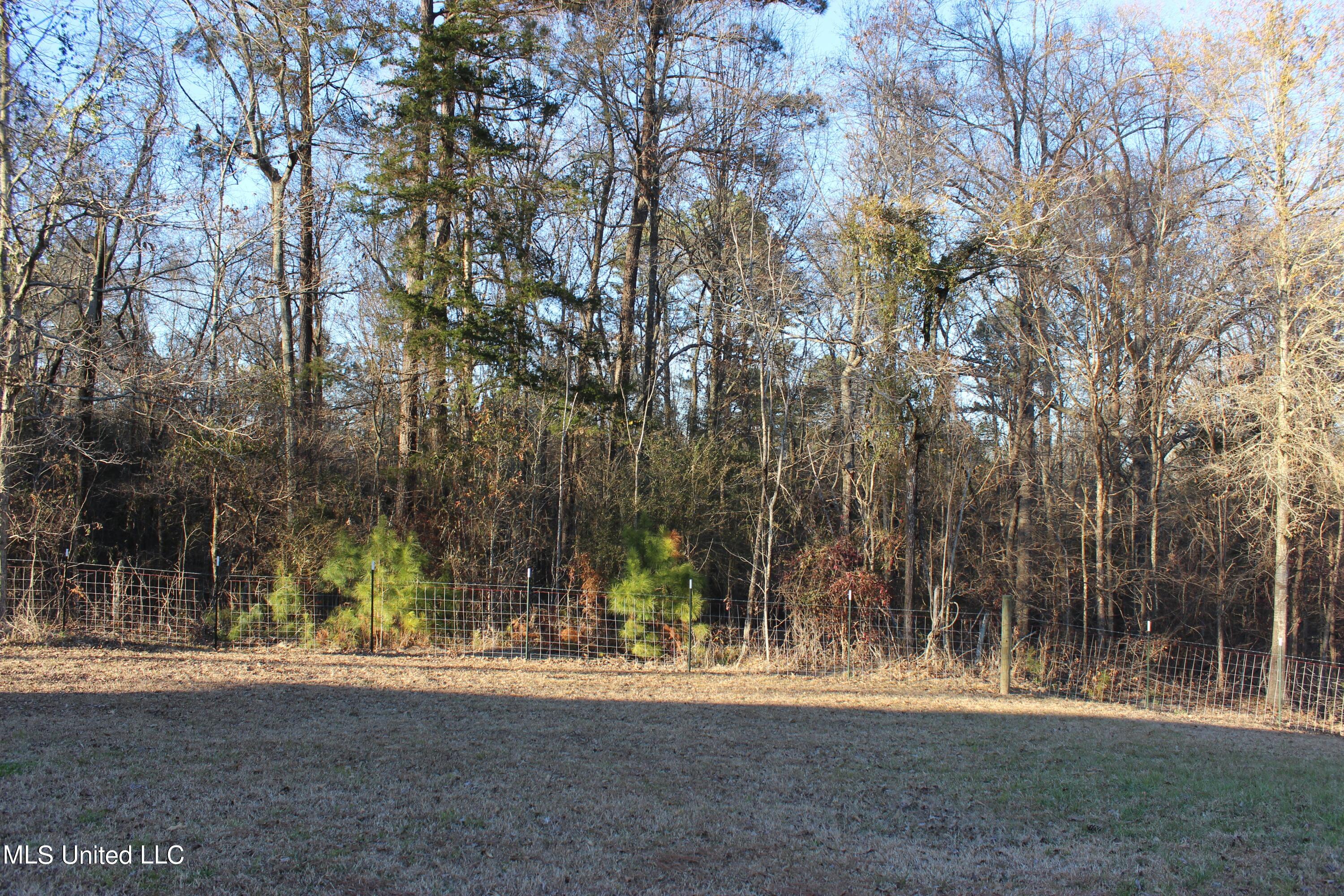 1199 Ernie Martin Road Utica, MS 39175 - Photo 19 of 24 1199 Ernie Martin BY 2