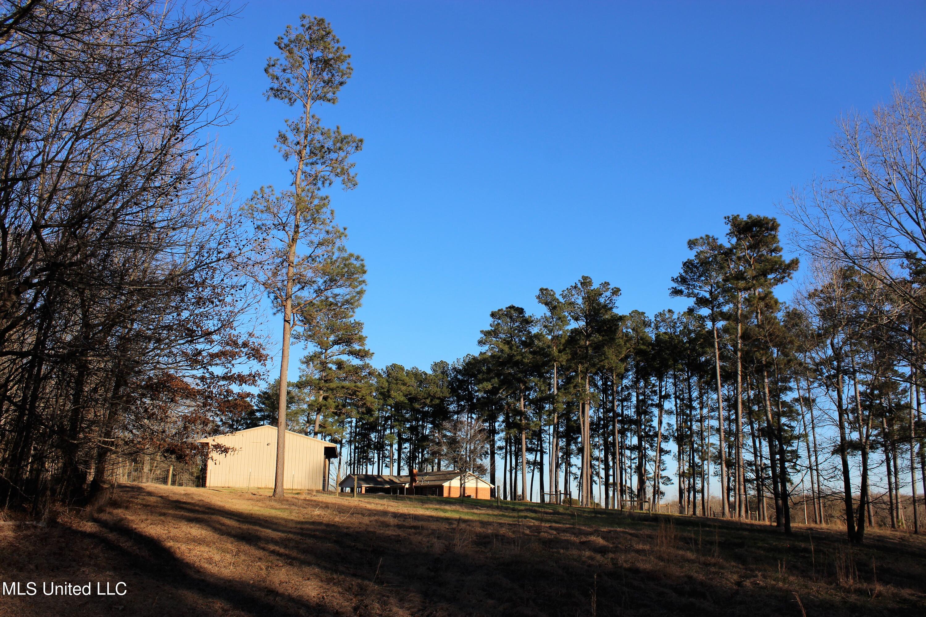 1199 Ernie Martin Road Utica, MS 39175 - Photo 21 of 24 1199 Ernie Martin Back