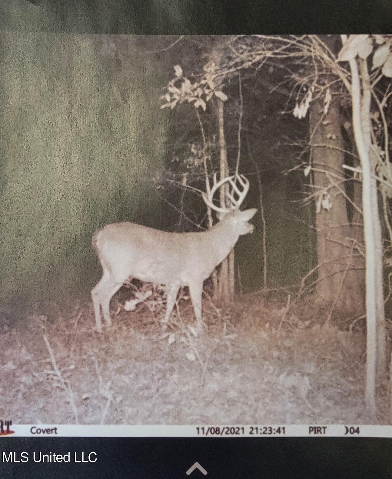 1199 Ernie Martin Road Utica, MS 39175 - Photo 23 of 24 1199 Ernie Martin Deer 1.pdf