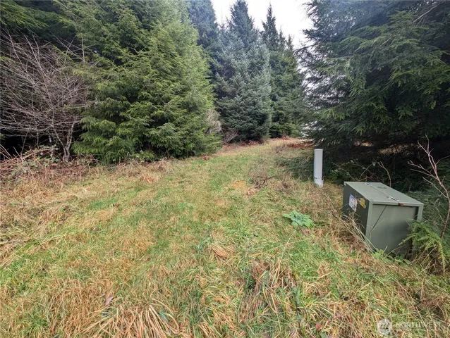 $265,000 | 999 Green Road, Forks, WA 98331