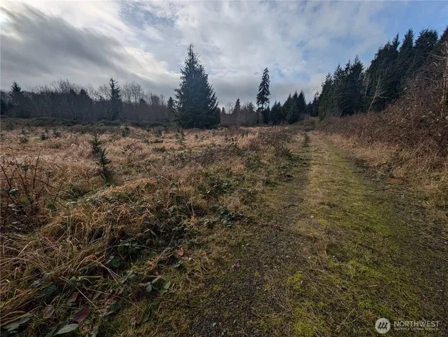 $265,000 | 999 Green Road, Forks, WA 98331