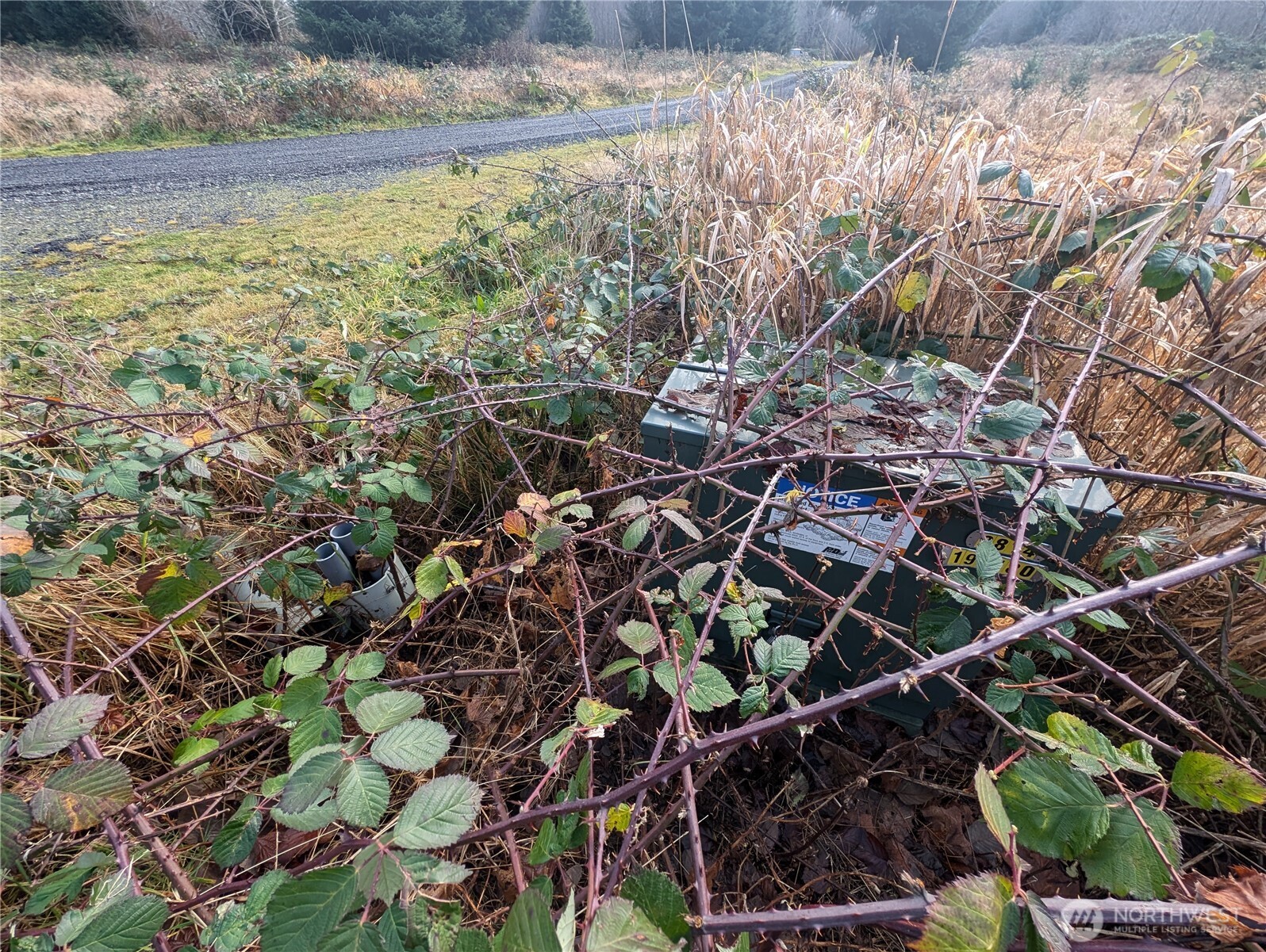 999 Green Road Forks, WA 98331 - Photo 13 of 40