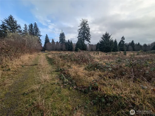 $265,000 | 999 Green Road, Forks, WA 98331