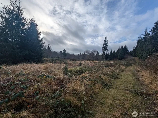 $265,000 | 999 Green Road, Forks, WA 98331