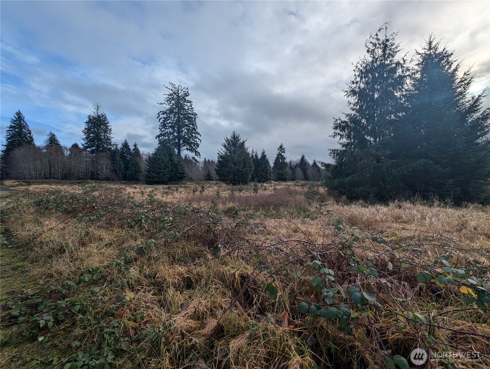 999 Green Road Forks, WA 98331 - Photo 16 of 40