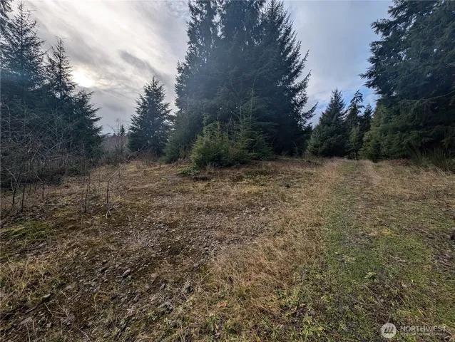 $265,000 | 999 Green Road, Forks, WA 98331