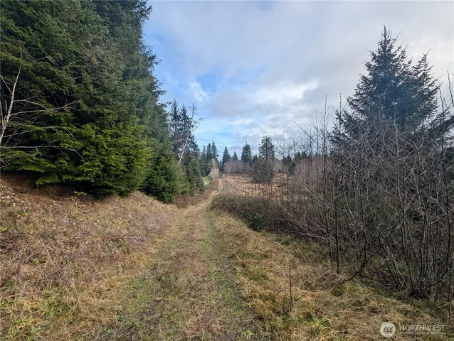 $265,000 | 999 Green Road, Forks, WA 98331