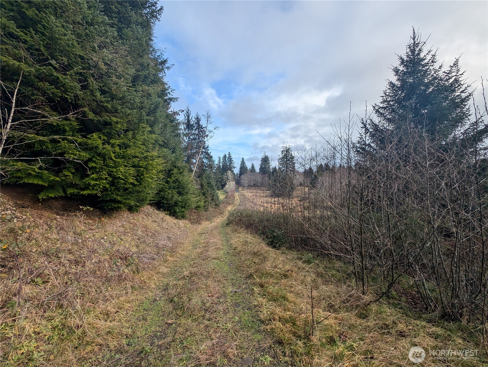 999 Green Road Forks, WA 98331 - Photo 18 of 40