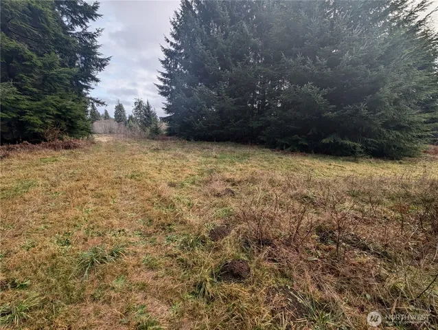 $265,000 | 999 Green Road, Forks, WA 98331
