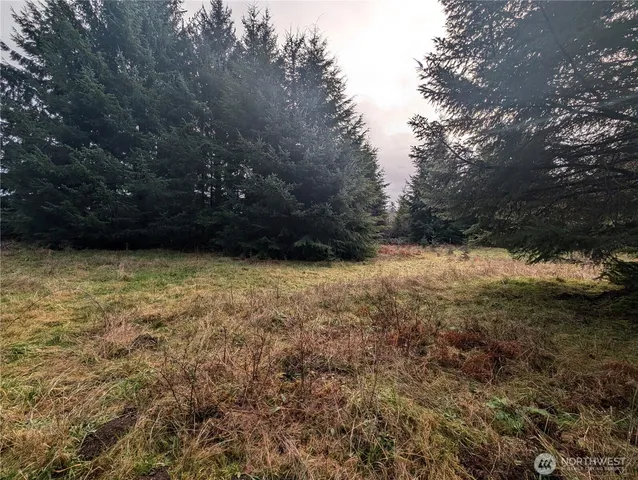 $265,000 | 999 Green Road, Forks, WA 98331