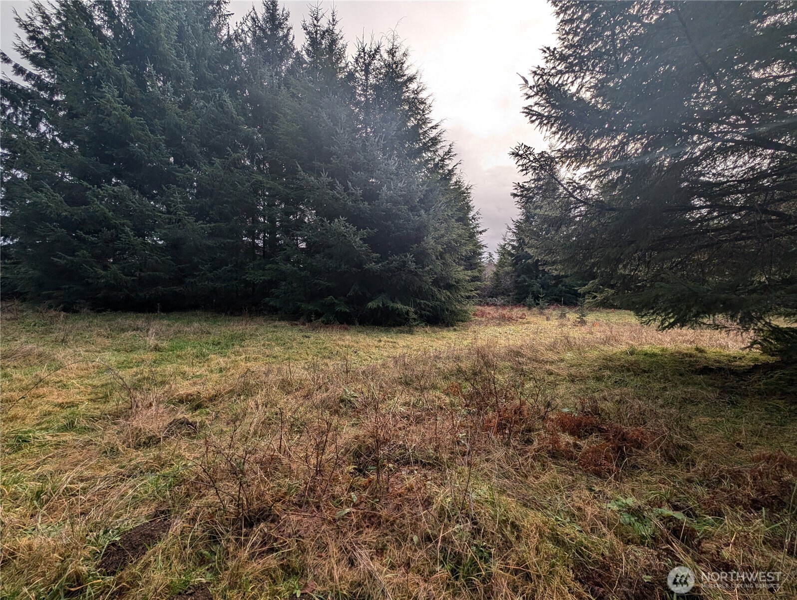 999 Green Road Forks, WA 98331 - Photo 20 of 40